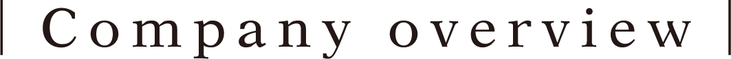Company overview