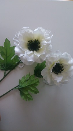 anemone-1.jpg