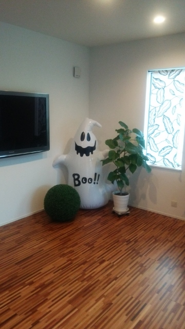 DSC_0358 (360x640).jpg